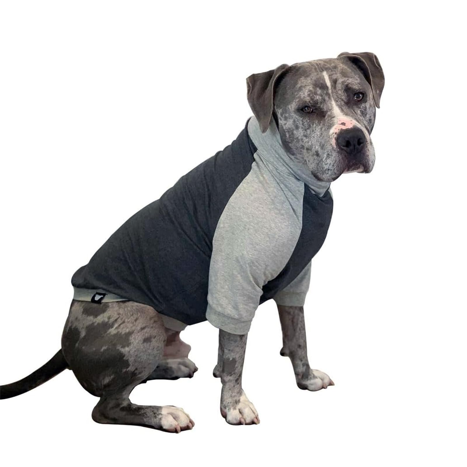 Tooth & Honey Large Dog Pullover Shirt – Breathable Cotton & Spandex Dog Shirt With Full Underbelly Coverage – Dark & Light Grey Large Dog Shirt For Allergy & Summer Protection (Large)