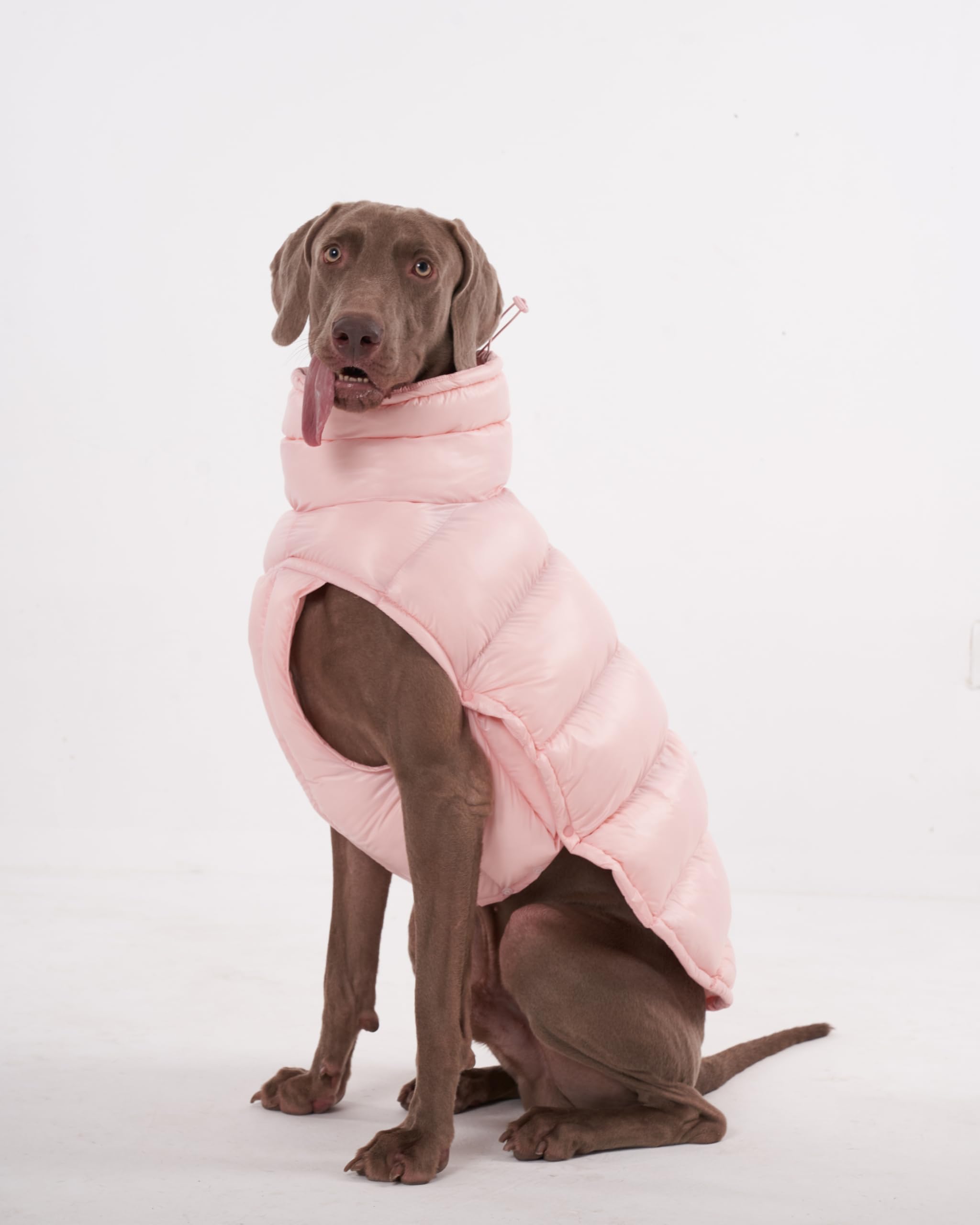 Chochocho Winter Jacket, Cold Weather Coats, Lightweight, Thermal Insulated, Water-Resistant, Adjustable Dogs Jackets With Leash