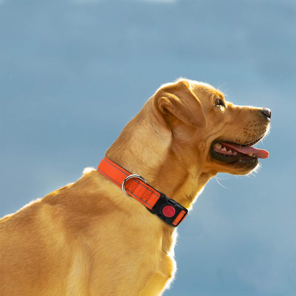 Taglory Reflective Dog Collar With Safety Locking Buckle, Adjustable Nylon Pet Collars For Large Dogs, Orange
