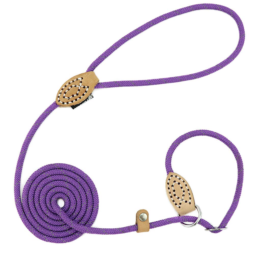 Grand Line Slip Lead Dog Leash, 5Ft Reflective Slip Rope, Puppy Training Walking Controlling Lead, Slip Collar Pet Leash For Small, Medium, Large Dogs (Purple, Small-1/4In X 5Ft)