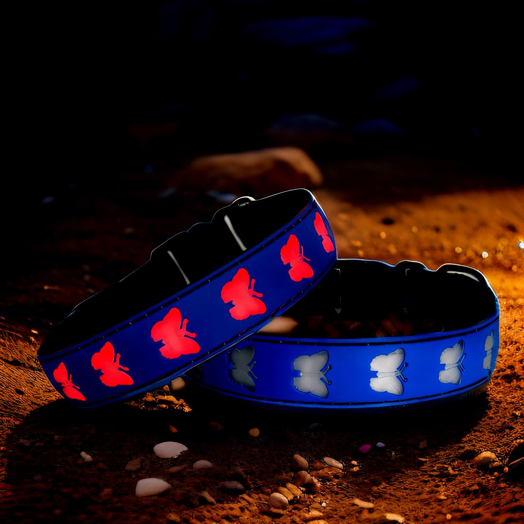 Dogled Usb-C Led Light Up Dog Collar, 3D Design Comfortable And Soft Material,Multicolored Lighting,Night Dog Collar (Bt-Blue, M