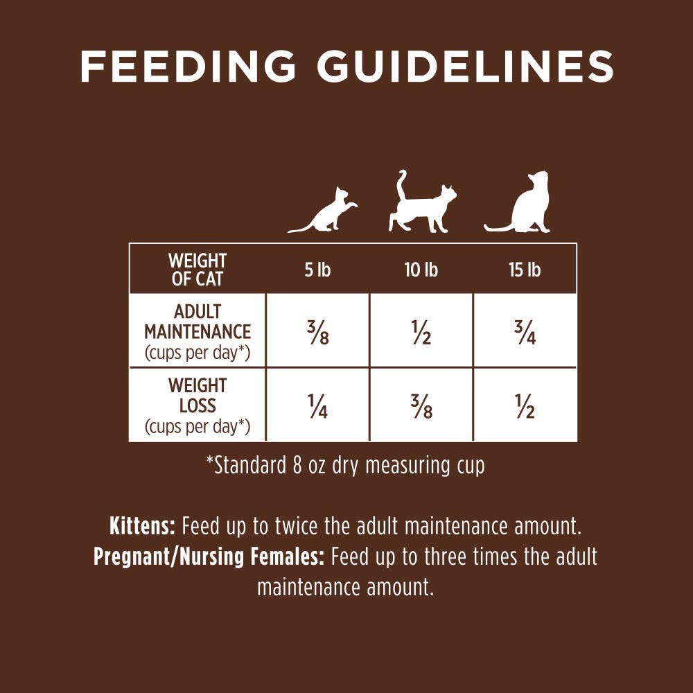 Instinct Original Grain Free Recipe with Real Rabbit Natural Dry Cat Food, 4.5 lb. Bag