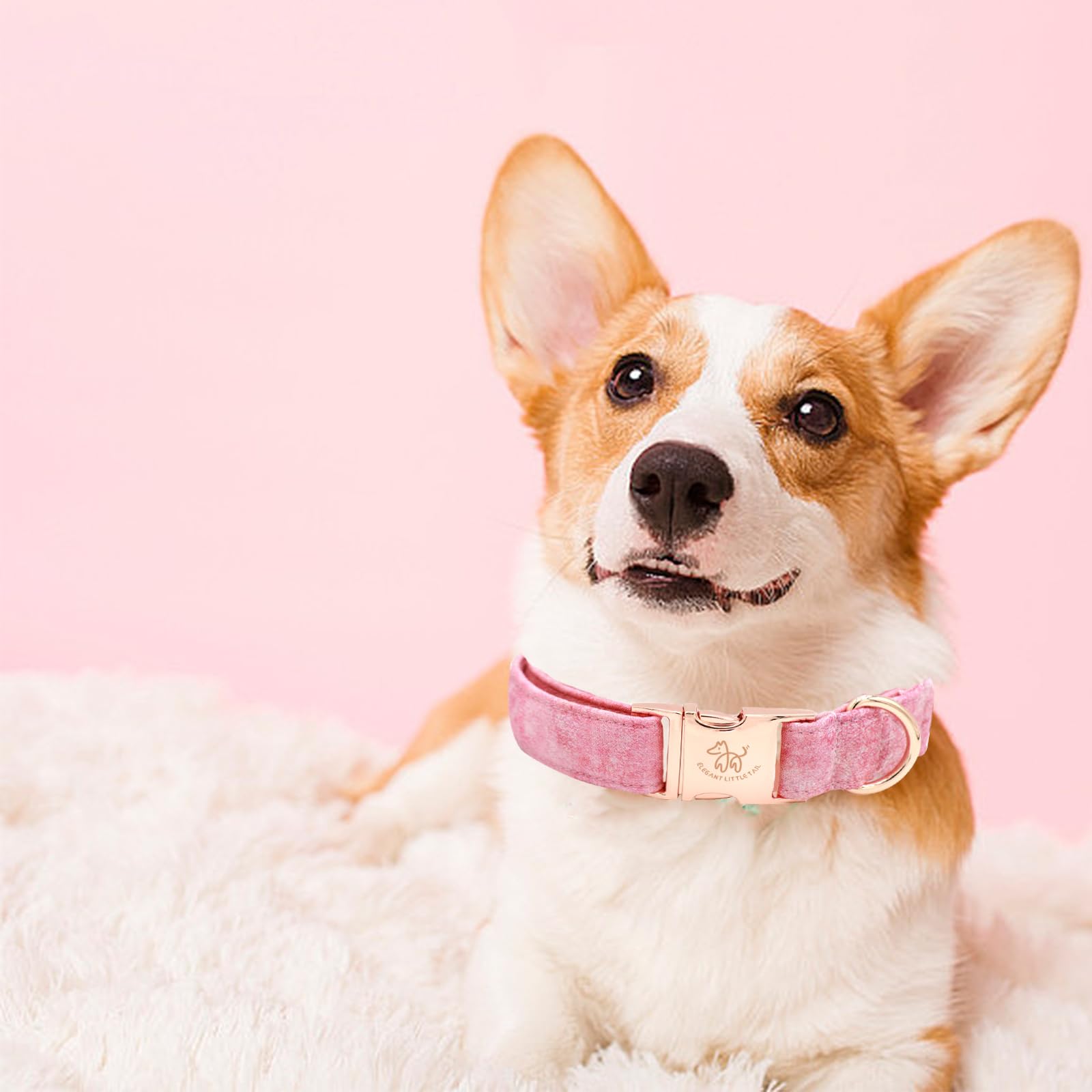 Elegant Little Tail Dog Collar, Pink Print Pet Collar Summer Dog Collar Pet Collar Dog Cotton Durable Dog Collar Metal Buckle Co