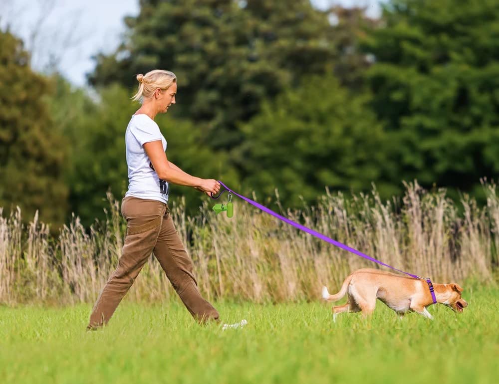 Taglory Double-Sided Reflective Heavy Duty Dog Leash 5Ft,Neoprene Padded Handle And Metal Hook Pet Training Leashes For Small Medium Large Dogs, Purple