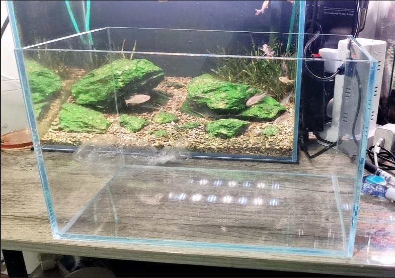 Awxzom Small Nano Tall Rimless Tank, Glass Fish Tank, Betta Fish Tank, Aquarium (2.85 Gal, 11.8X6.7X7.8 Inch)