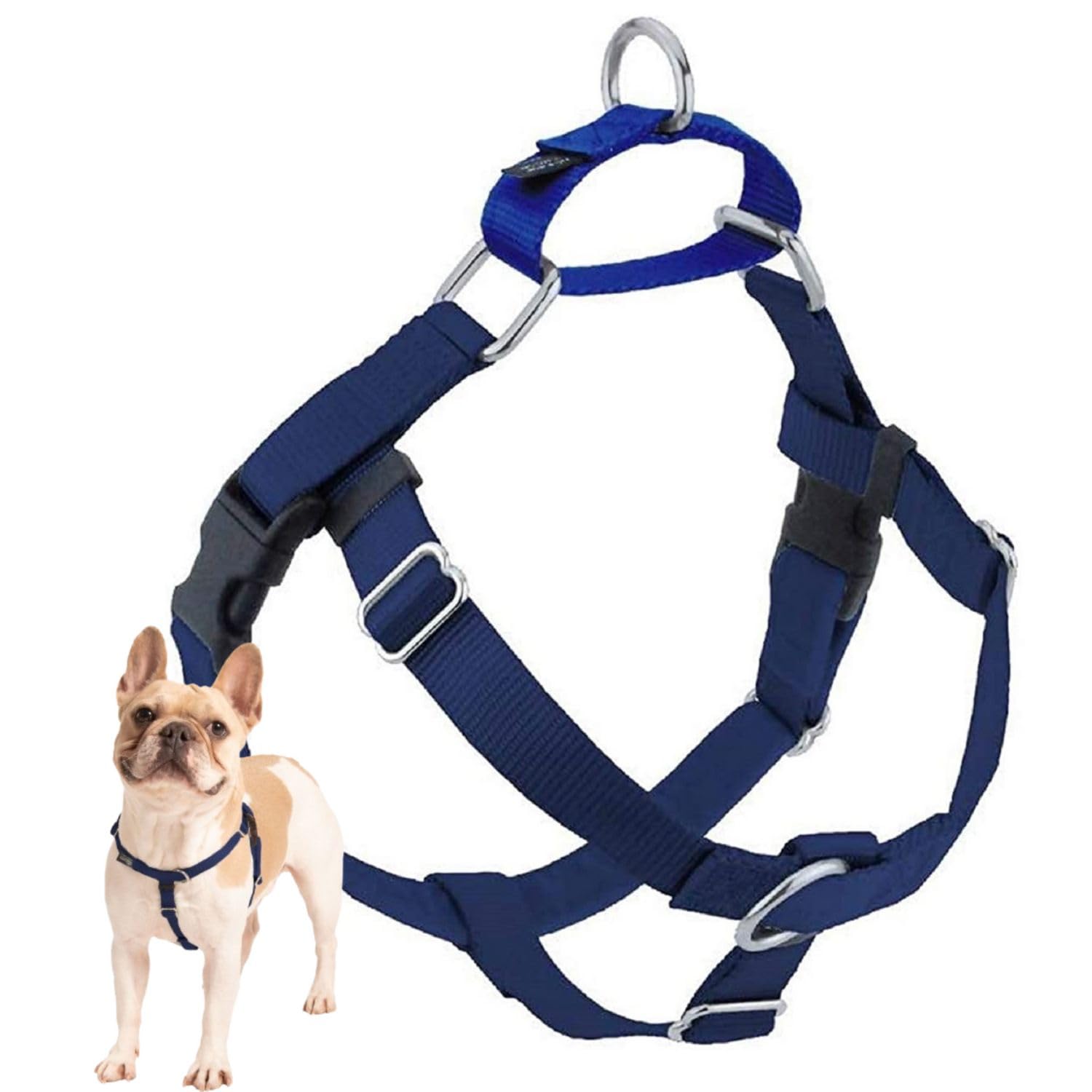 2 Hounds Design Freedom No Pull Dog Harness, Adjustable Harness, Easy Walking & Comfortable Control, Fits Small, Medium & Large Dogs, Solid Colors, Made In Usa, 1' Md, Navy