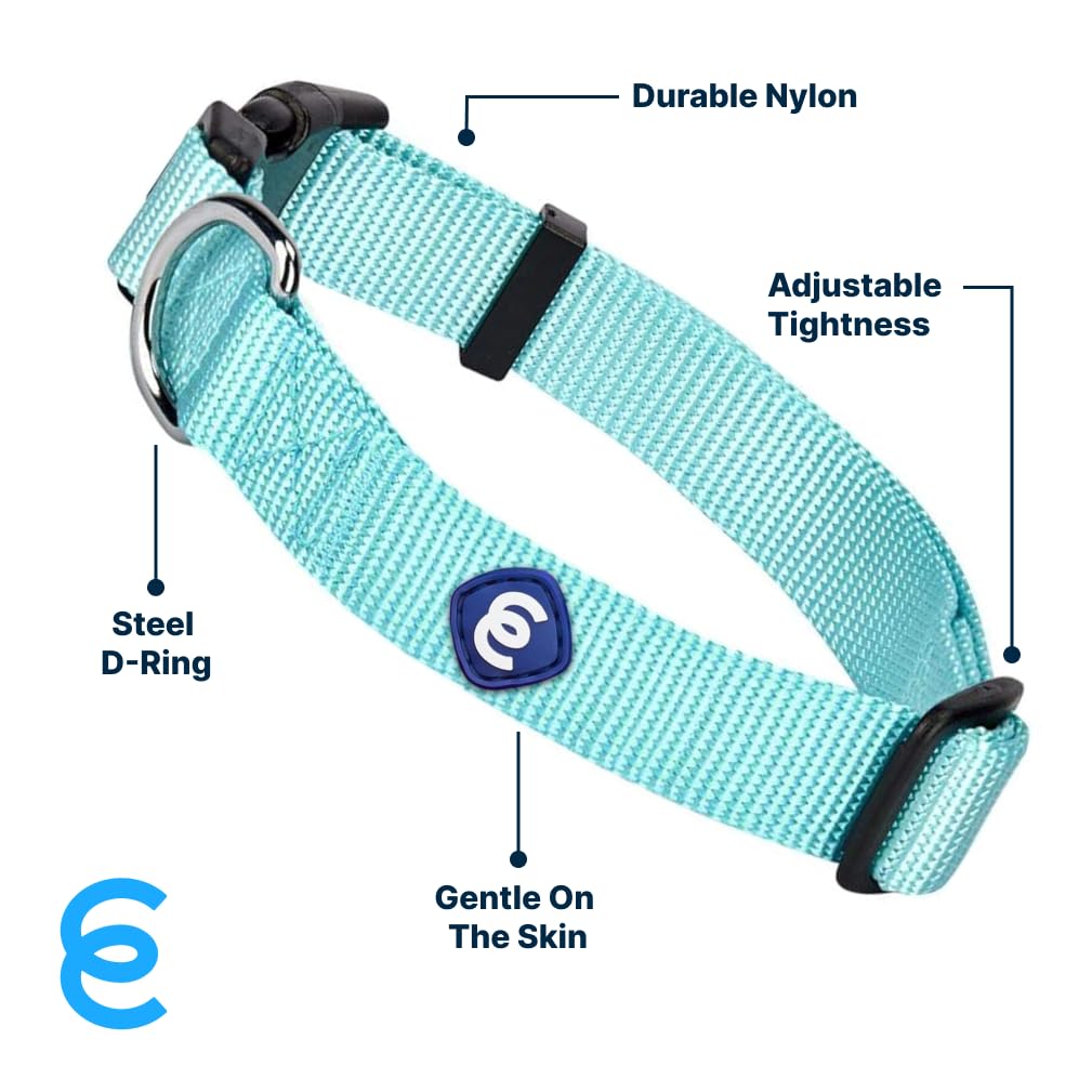 Blueberry Pet X-Small Dog Collar | Quick Release Mint Blue Nylon Collar For Boy, Small Dogs