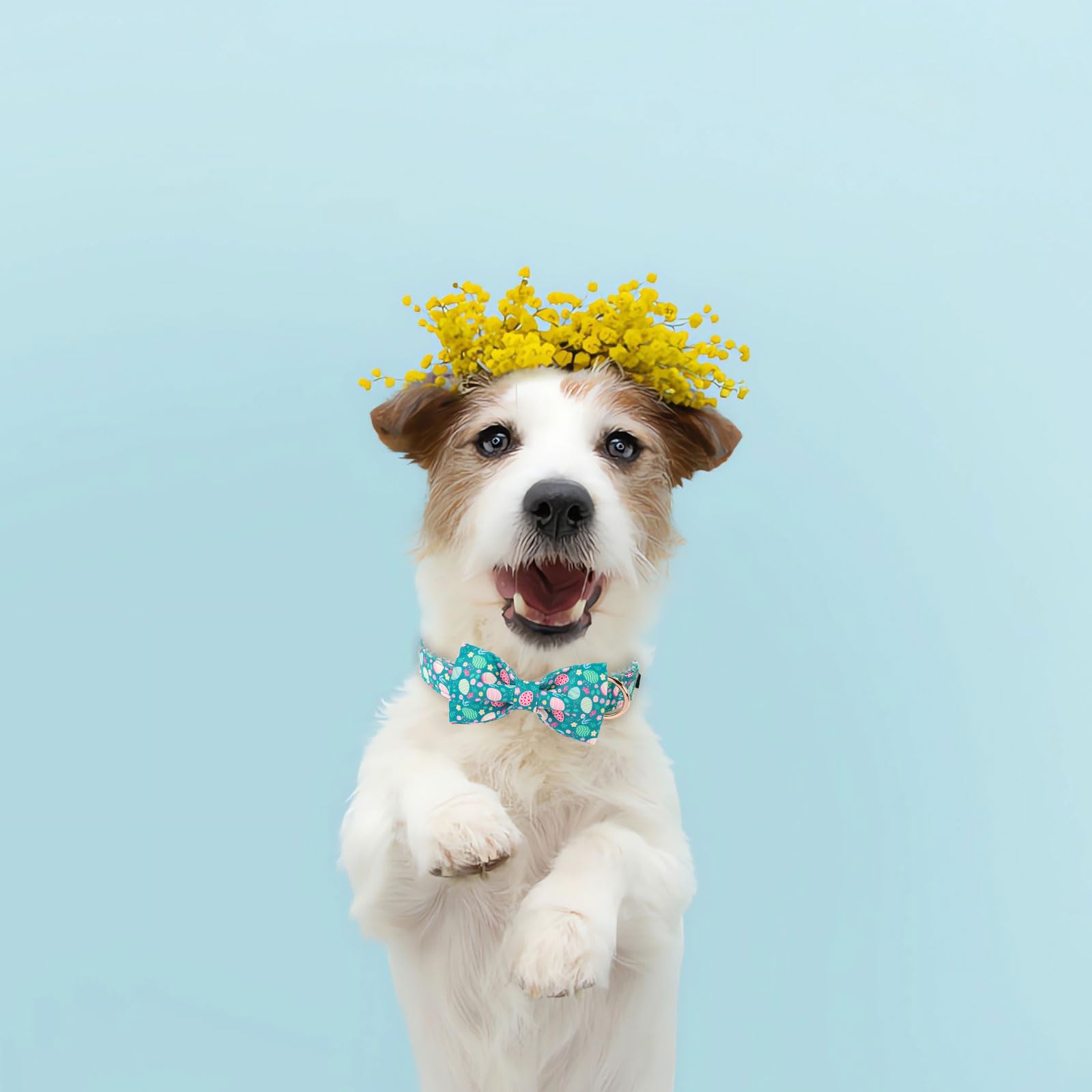 Lionet Paws Easter Green Dog Collar,Eggs Dog Collar For Medium Dogs, Adjustable Cotton Flower Pet Collars For Small Medium Dogs