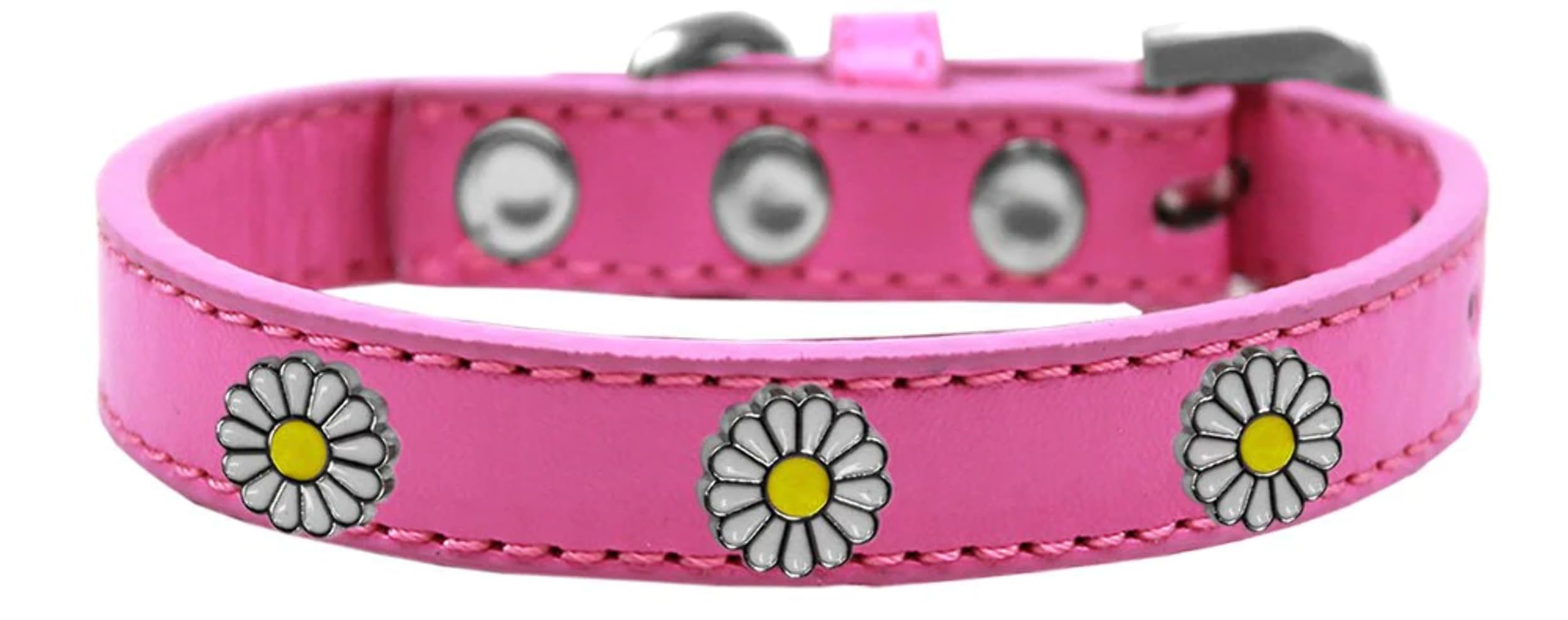 Dog, Puppy and Pet Widget Fashion Collar, &quot;White Daisies&quot; Aqua 18