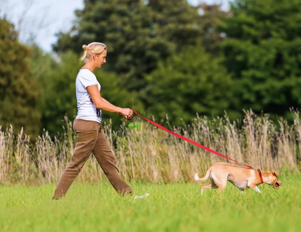 Taglory Nylon Dog Leash 6Ft, Soft Padded Handle Pet Reflective Leashes For Puppy Small Medium Dogs Walking & Training, Red