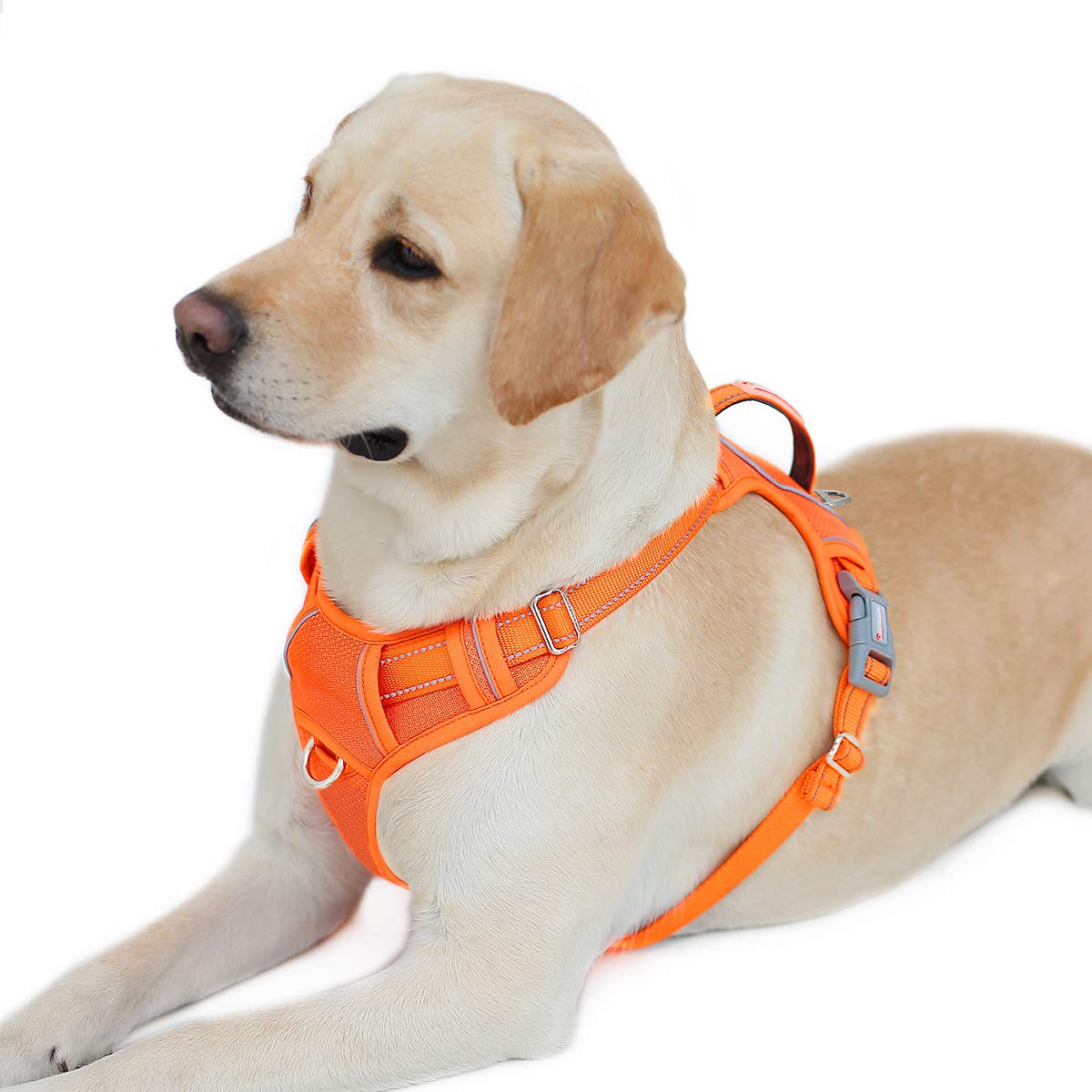 Barkbay No Pull Dog Harness Front Clip Heavy Duty Reflective Easy Control Handle For Large Dog Walking With Id Tag Pocket(Orange