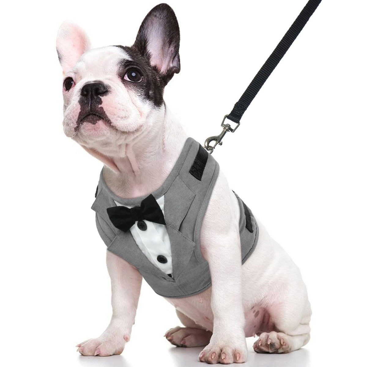 Kuoser Tuxedo Dog Harness, Adjustable No Pull For Small/Medium Dogs, Wedding Suit With Bow Tie Party Costume - Gray
