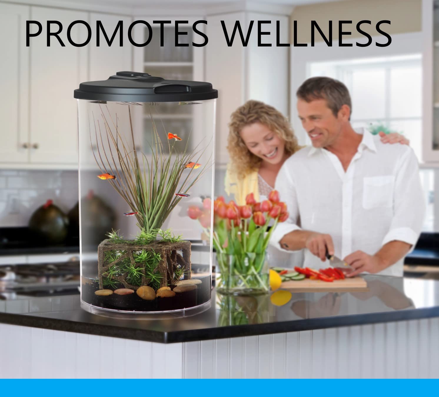 Koller Products Plastic 6-Gallon Aquaview 360 Aquarium Kit For Tropical Fish, Betta Fish With Led Lighting And Power Filter Clear