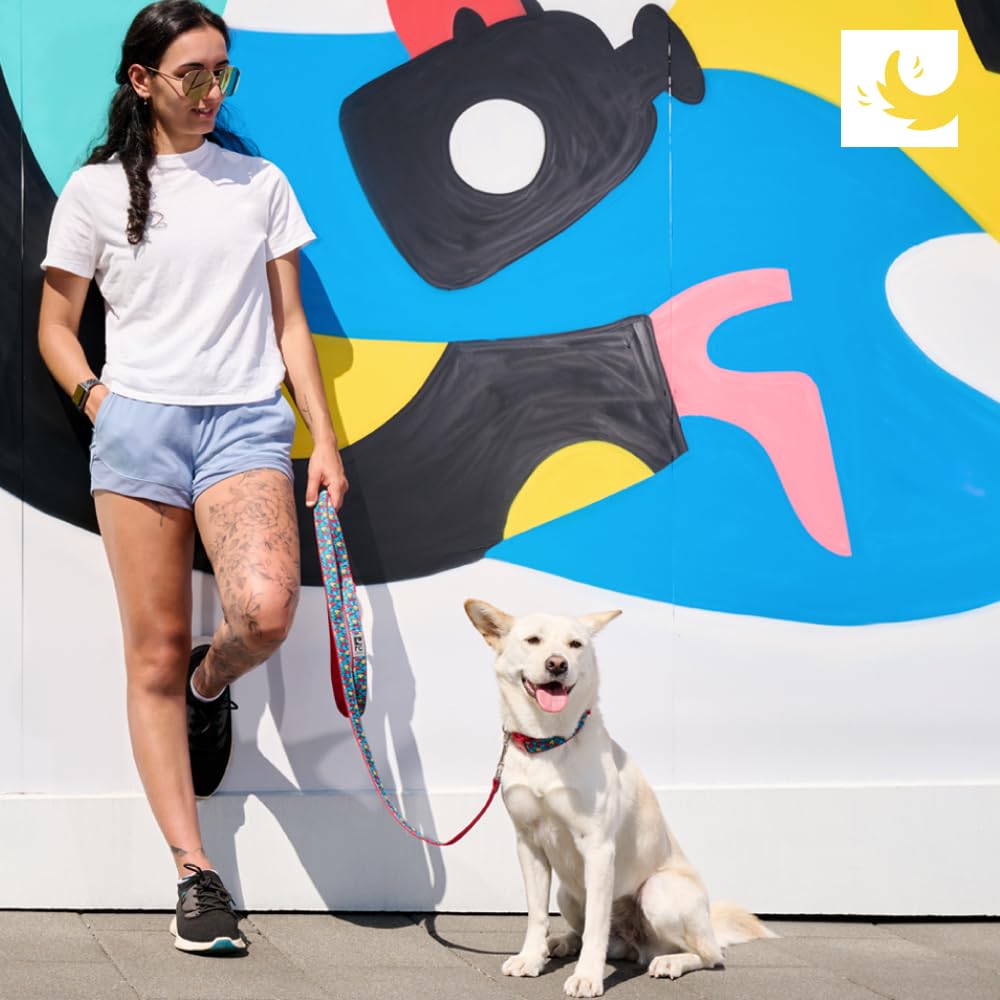 Rc Pets 3/4' X 6 Ft Dog Leash, Tan Tartan