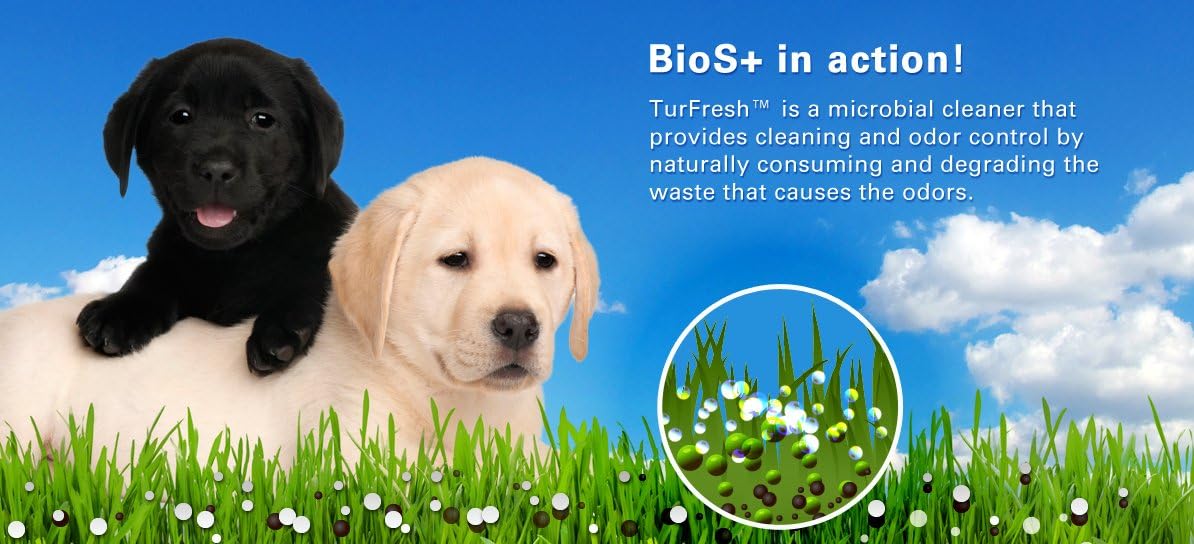 BioFill BioTurf Pet Deodorizer Granular Infill for Artificial Grass - All Natural Dog Urine Neutralizer, 1 Gallon Pail