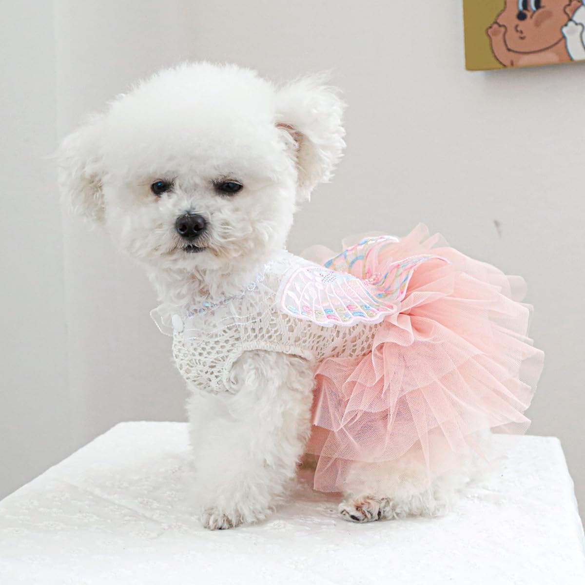 Marupet Fashion Sweet Puppy Dog Blingbling Princess Skirt Pet Dog Lace Cake Camisole Tutu Dress B-Pink Xs