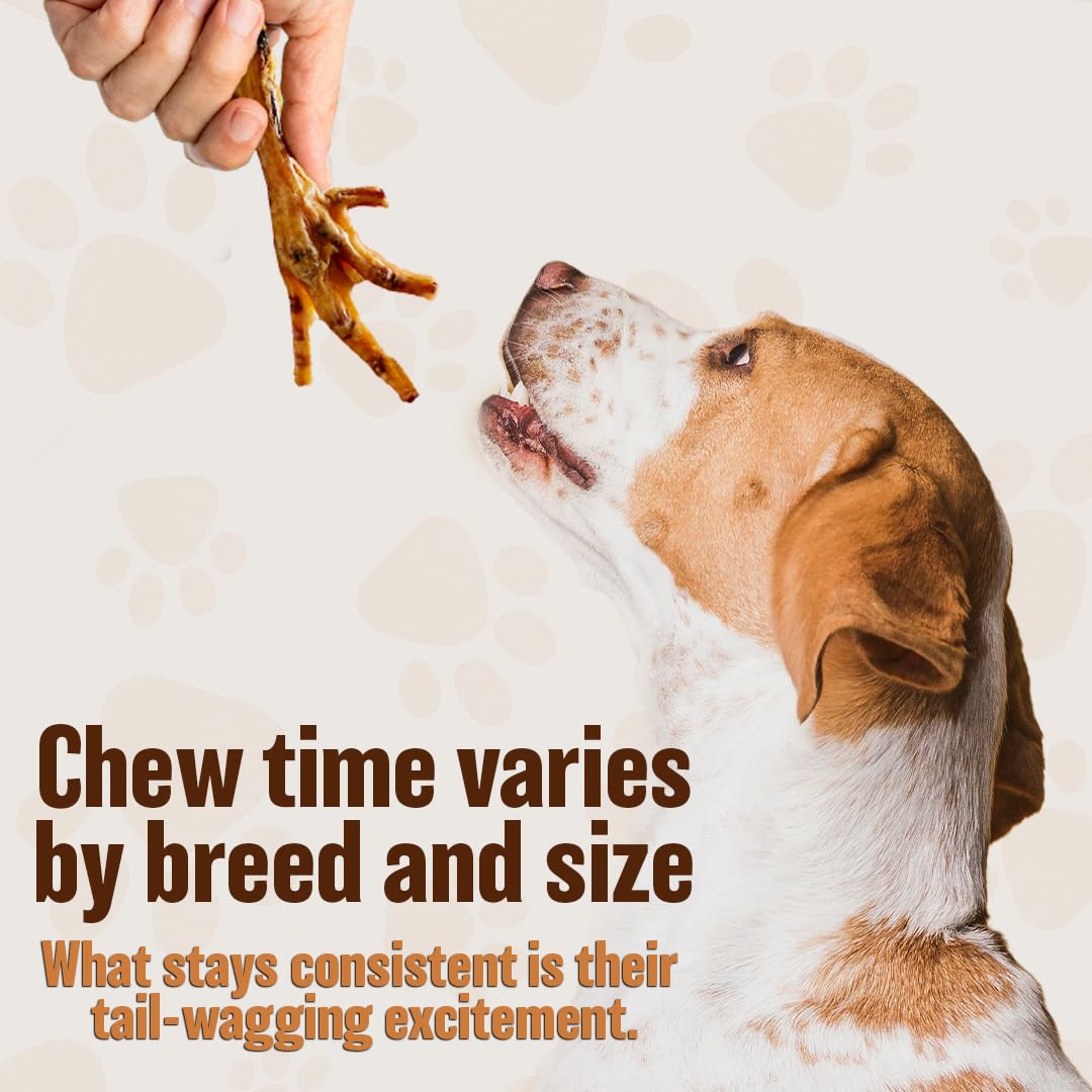 The Primal Theory Dehydrated Chicken Feet for Dogs - Single Ingredient Dog Chews - Made in USA - 100% Digestible Chicken Foot Tr