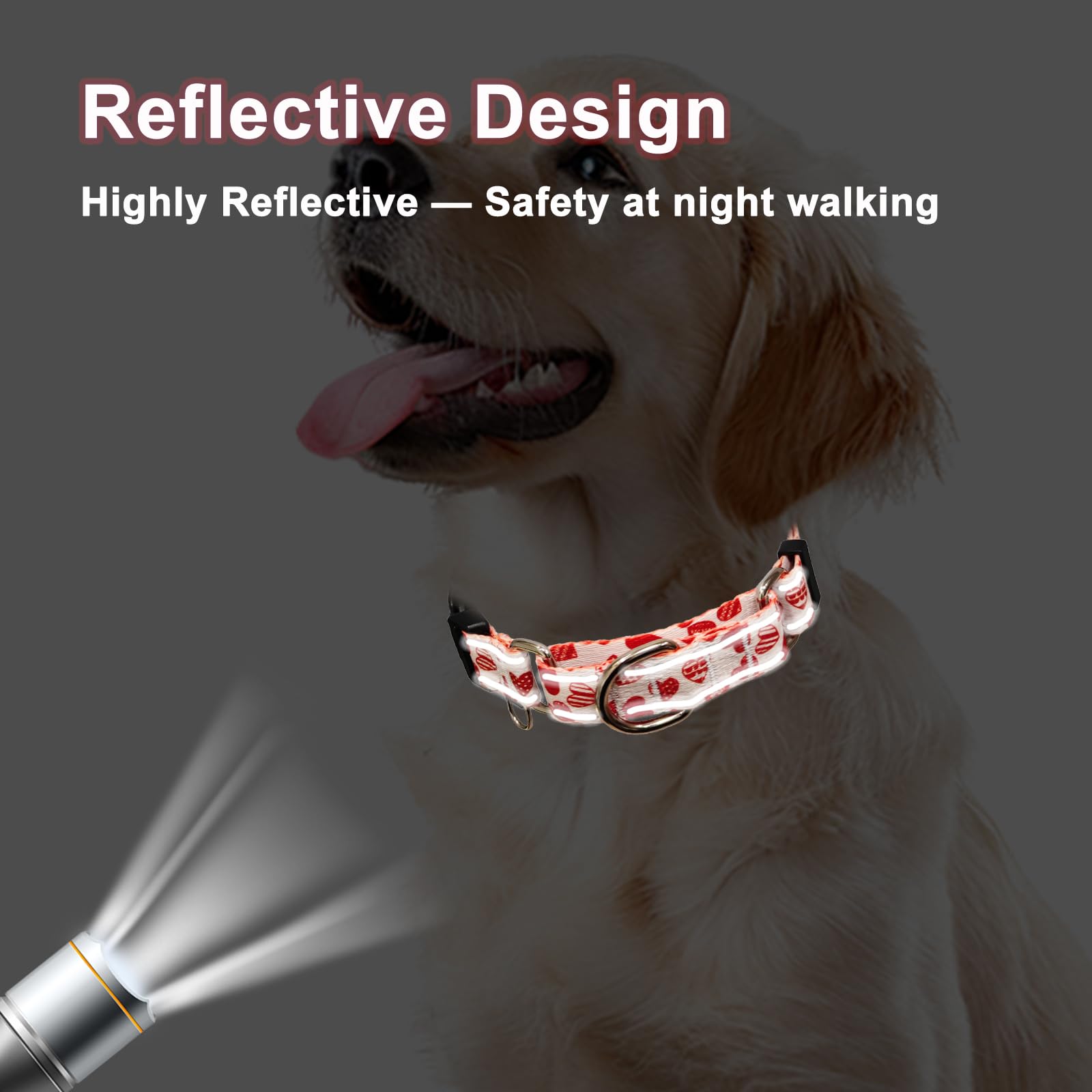 Fidohug Valentines Reflective Martingale Collar For Dogs With Quick Release Buckle Cute Girl No Pull Dog Collars (Red Heart, Med