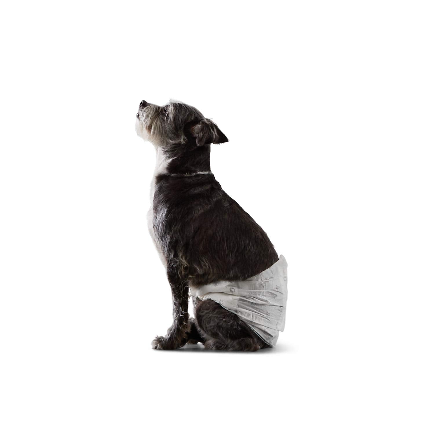 Amazon Basics Male Dog Diapers, 30 Count, Small, Ultra Absorbent Disposable Wrap With Secure Fit, Leakproof And Comfortable