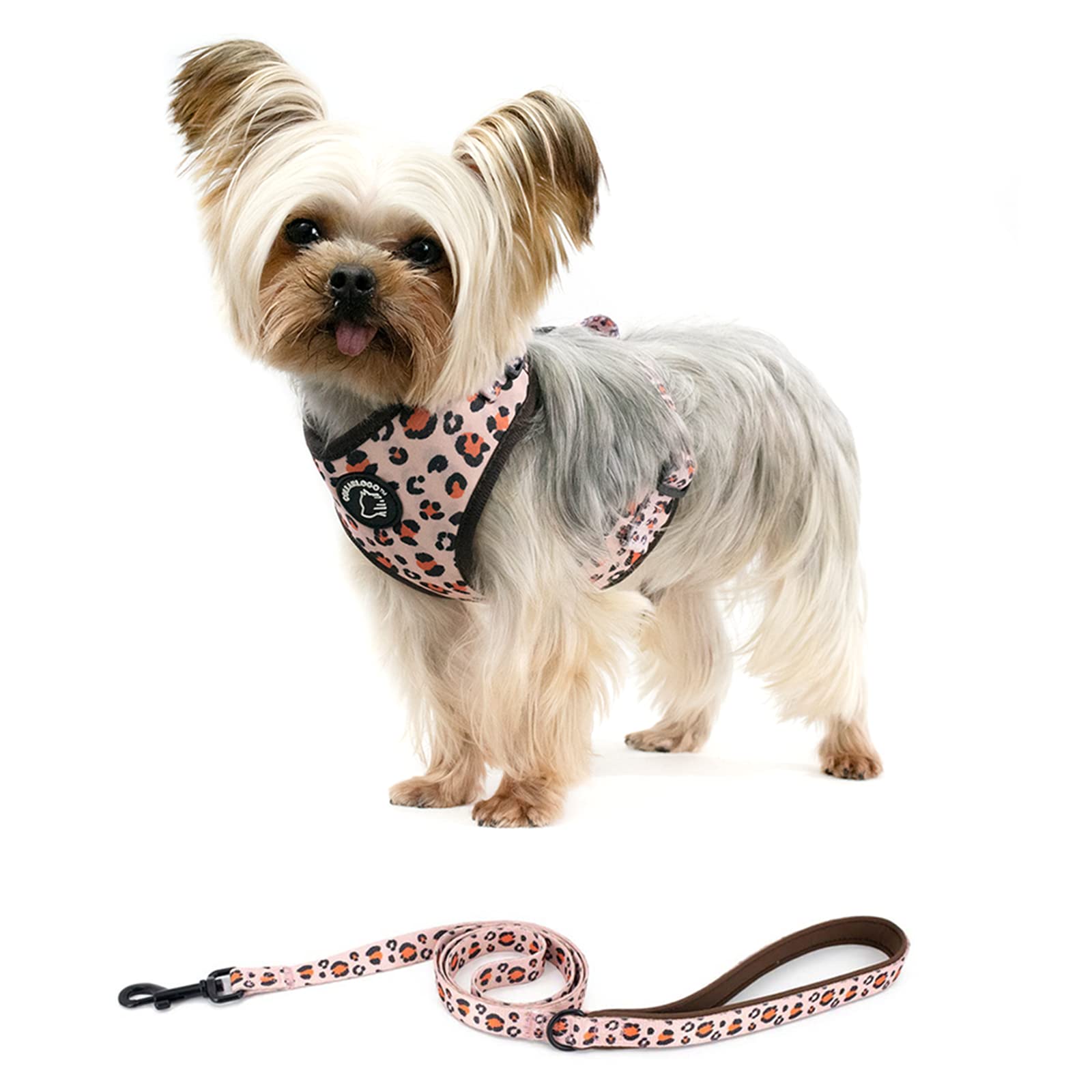 Dog Cat Harness And Leash Set, Puppia Soft Mesh Padded And Adjustable Puppy Vest Cute Dog Clothes Escape Proof Easy Walk Dog Accessories