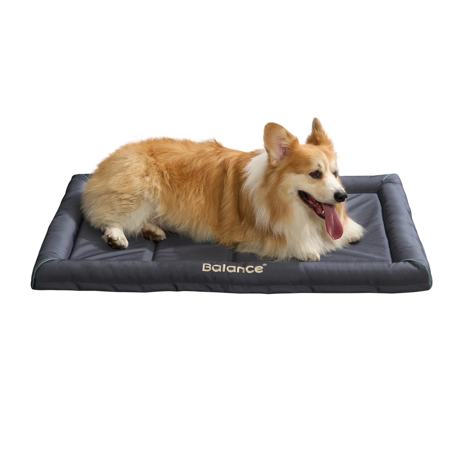 BALANCE Oxford Dog Bed for Extra Large Dogs, Waterproof Dogs Crates Pad Outdoor XL Dog Crate Mat, Wipe Clean & Easy Rinse, 42 in