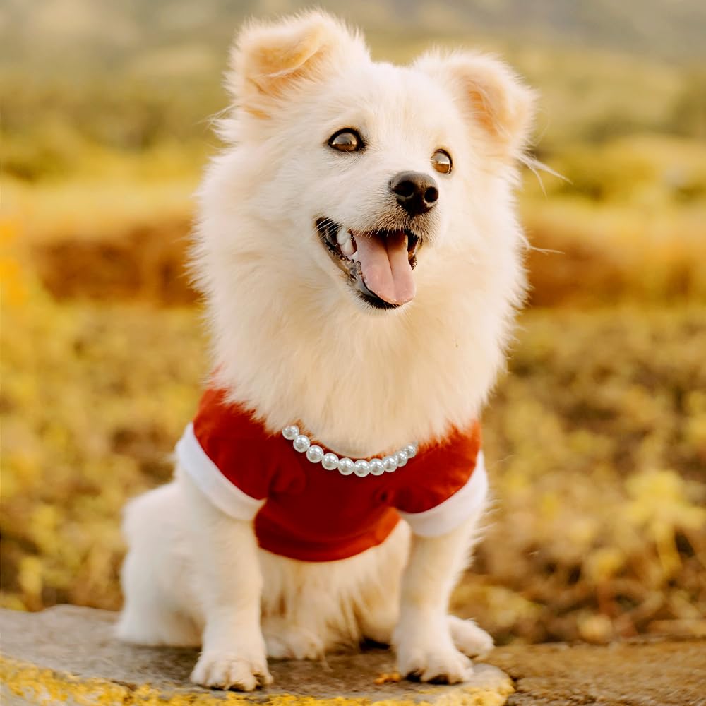 Madison Tyler Dog Pearl Necklace | Durable Dog Necklace | Cute Fashion Pet Collar For Dog | Light Pearl Jewelry Bold Puppy Acces