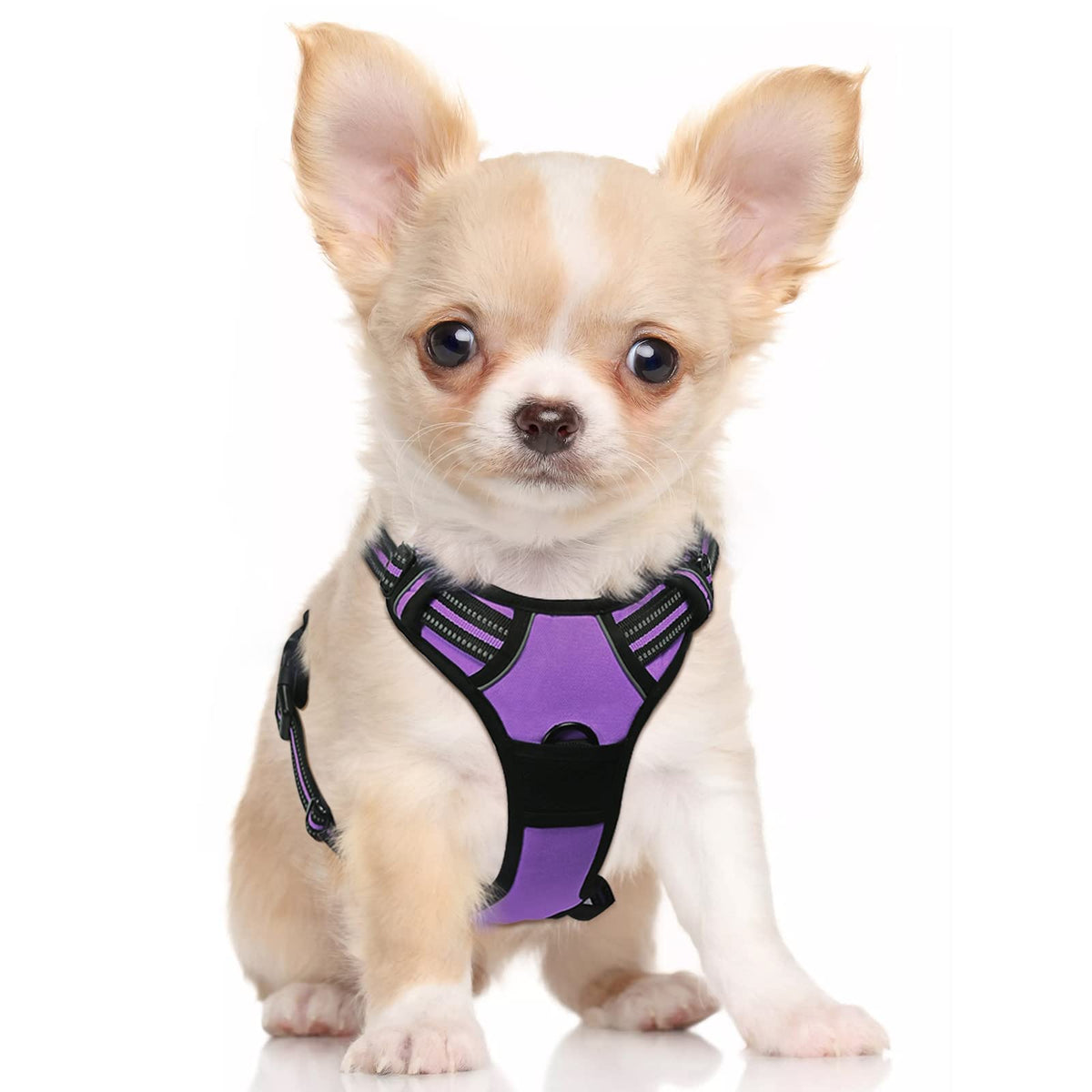 Rabbitgoo Dog Harness, No-Pull Pet Harness With 2 Leash Clips, Adjustable Soft Padded Dog Vest, Reflective No-Choke Pet Oxford Vest With Easy Control Handle For Small Dogs, Purple, S