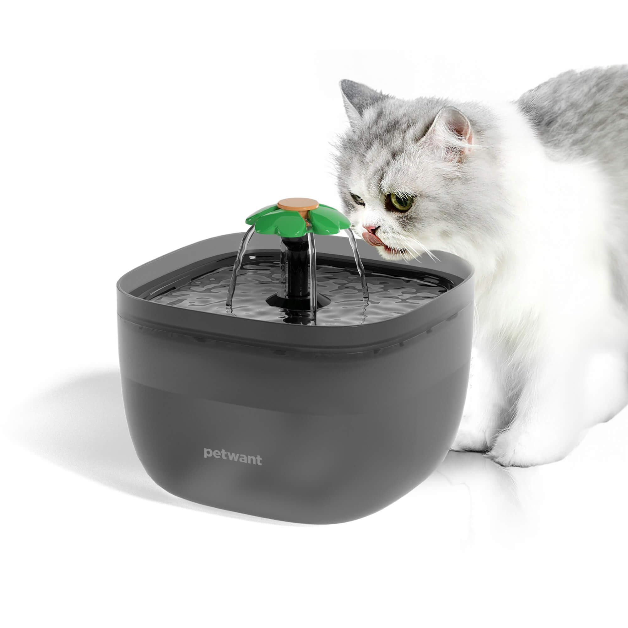 Auto Cat Water Fountain: 2L Capacity For Cats & Dogs Includes Replacement Filters & Travel-Friendly Set Large Capacity For Pets