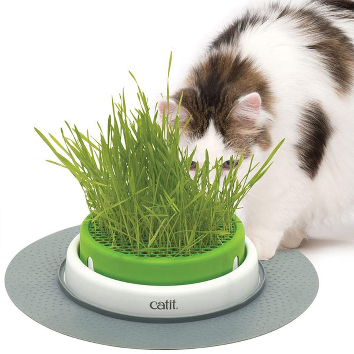 Catit Senses 2.0 Cat Grass Planter, Interactive Cat Toys