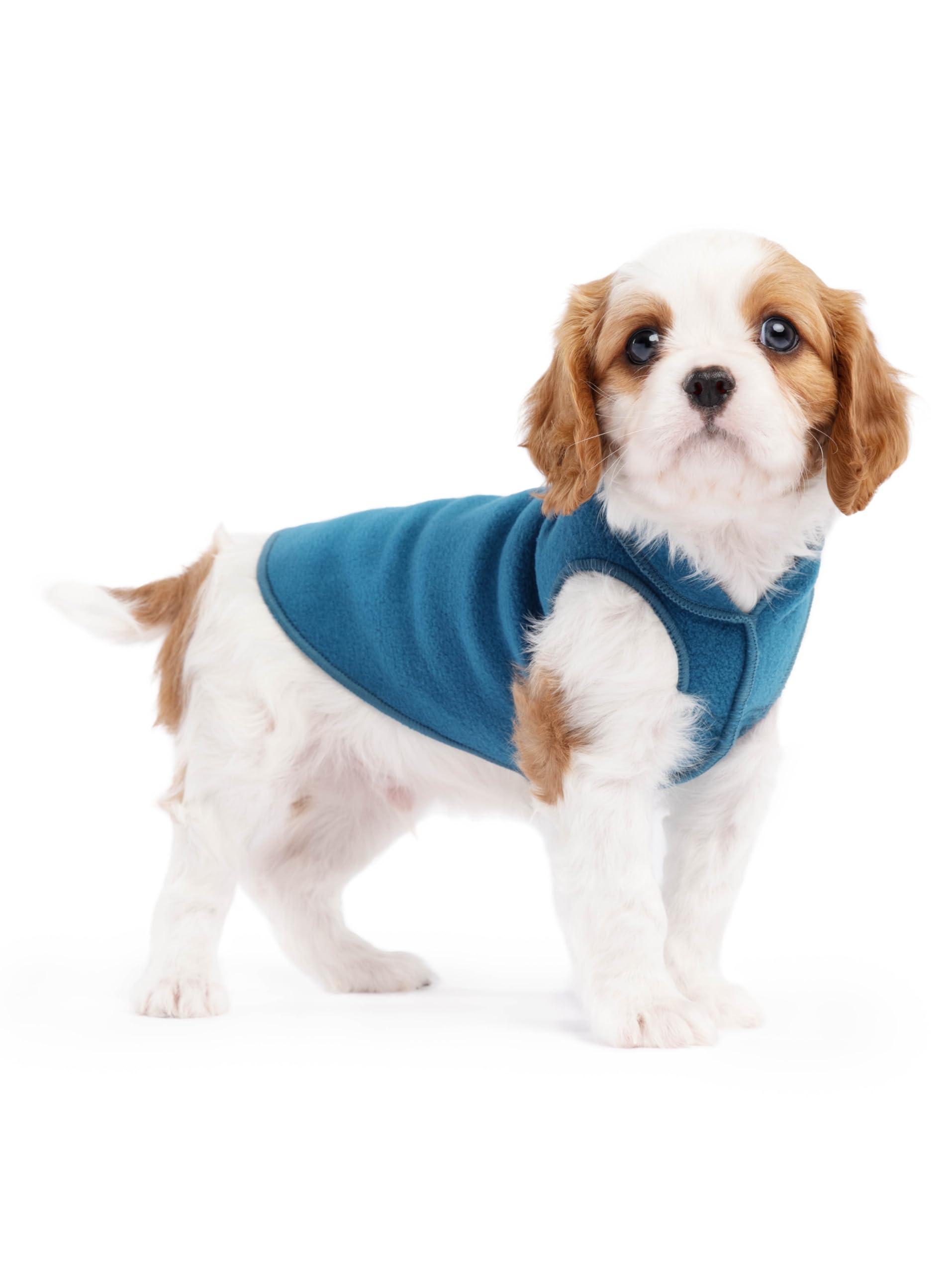 Gold Paw Stretch Fleece Dog Coat, Stretchy Pet Sweater, Machine Washable Pullover For Winter And Fall, Marine Blue, 4