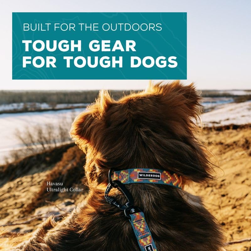 Wilderdog Ultralight Collar Series For Dogs - Small - Havasu