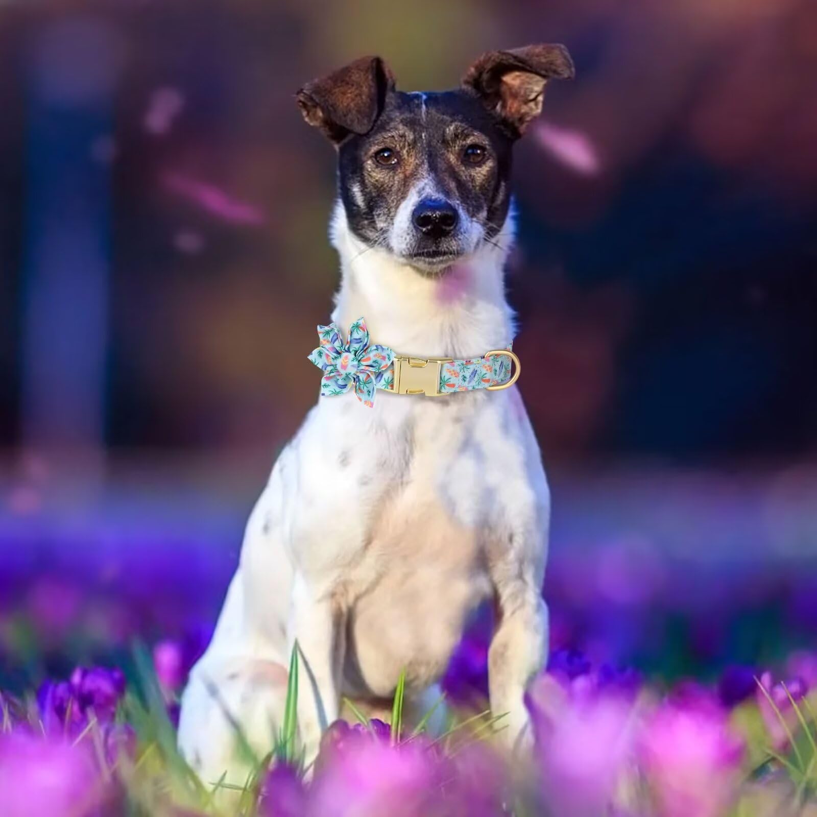 Beirui Cute Girl Dog Collars for Female Dogs, Summer Dog Collar with Flower, Soft Floral Pet Collars for Small Medium Large Dogs