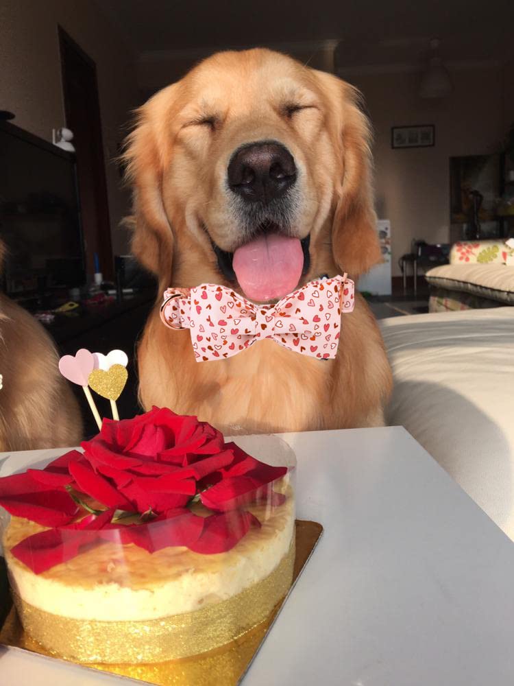 Elegant Little Tail Valentine'S Dog Collar With Bow, American Flag Bow Tie Dog Collar, Cute Heart Dog Bowtie Pet Gift Dog Collar