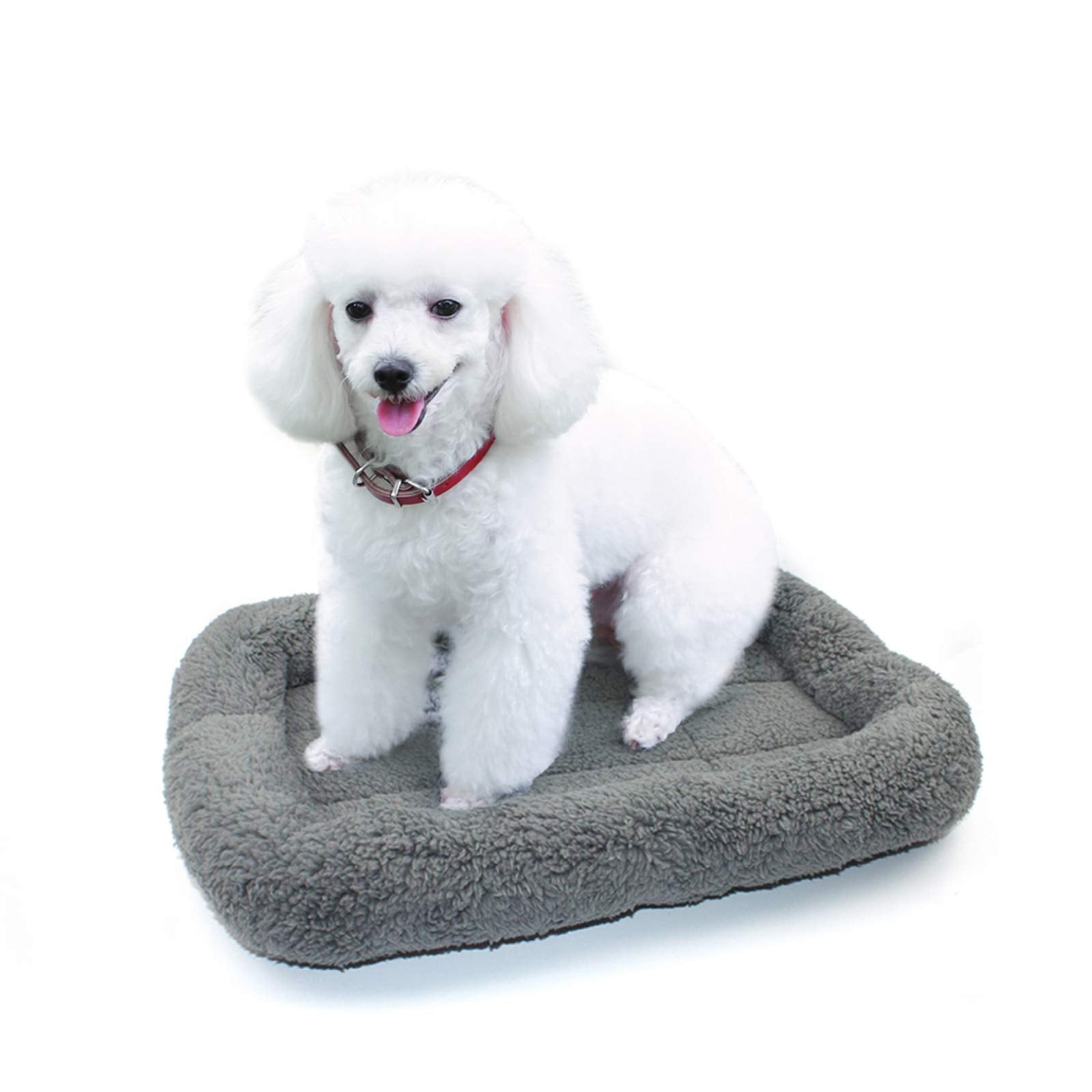 Enjoying Cat Mat Bed 16'' X 22'' Pet Bed With Pillow Around For Dogs Cats Curled Sleeping Beds For Carrier/Crate Small To Medium