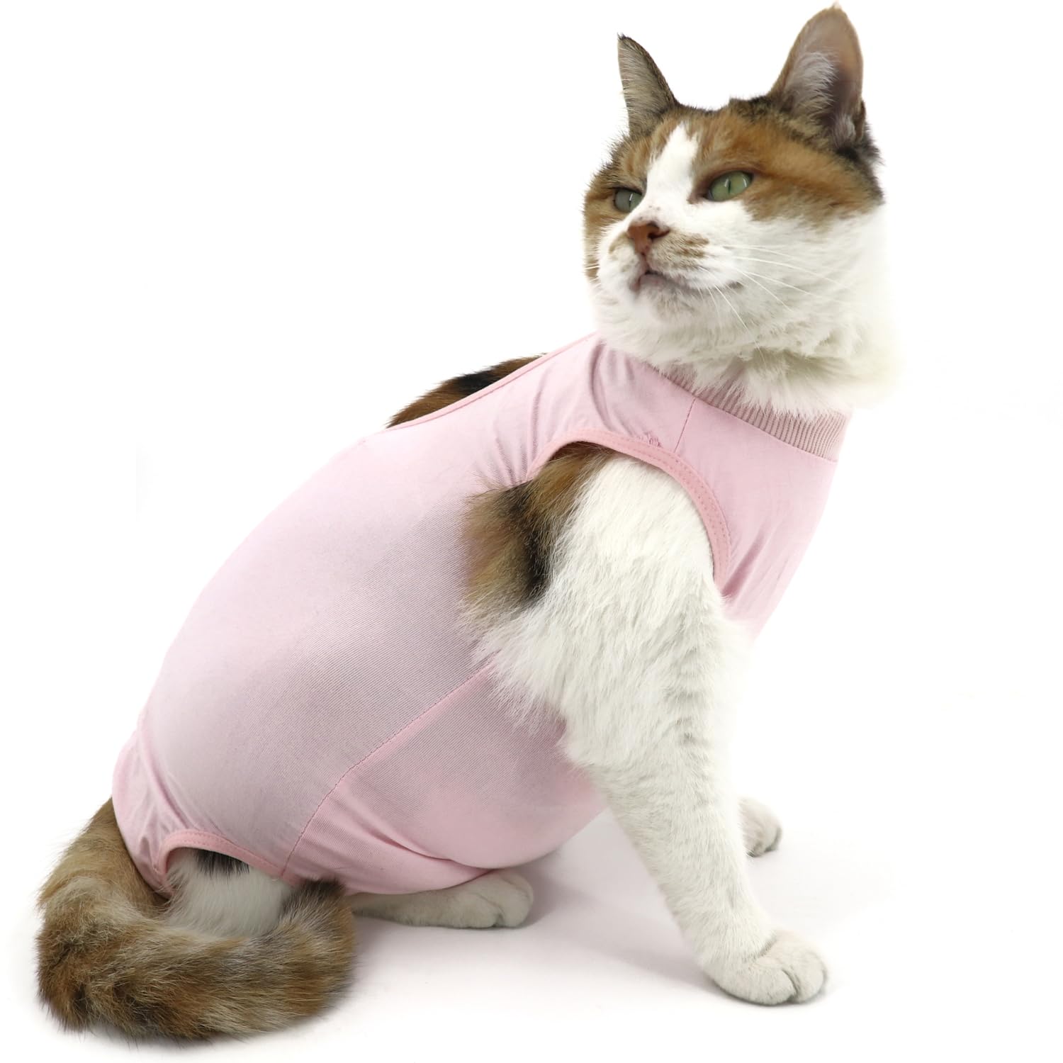Qiyadin Cat Recovery Suit, Surgical Recovery Clothes For Abdominal Wound Or Skin Disease, Cats Onesie After Surgery And Spay, E-