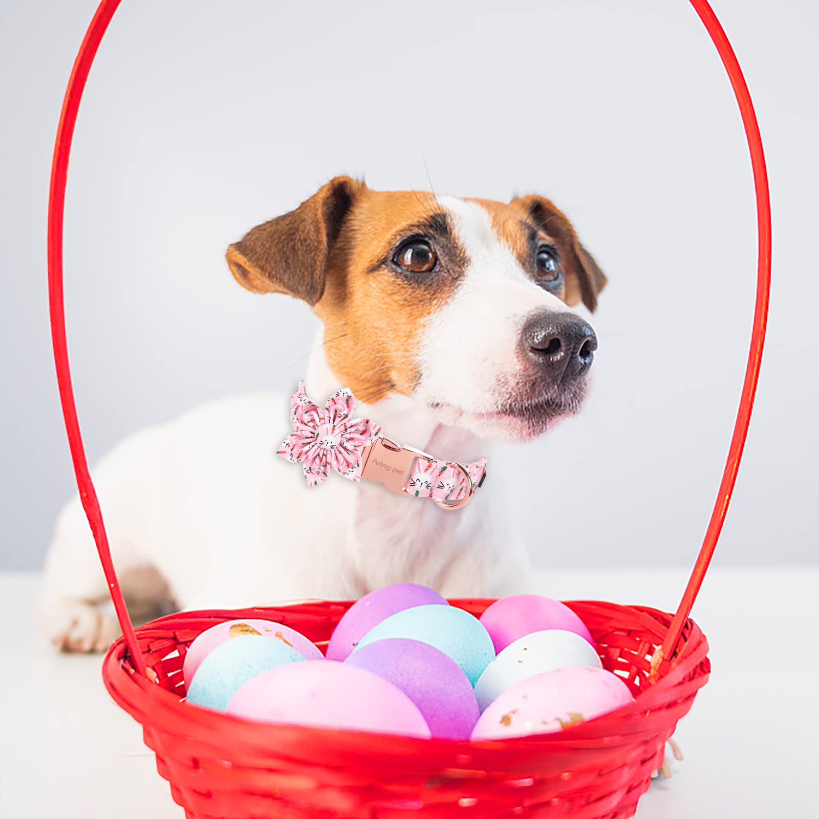Aring Pet Easter Dog Collar-Cute Rabbit Dog Collar With Flower, Cotton Adjustable Carrots Dog Collars With Metal Buckle For Small Medium Large Dogs