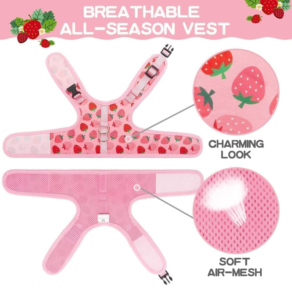 Bingpet Cat Harness With Leash Escape Proof - Fashionable Mesh Cat Dog Walking Harness Leads, Adjustable For Kitties Puppies Sma