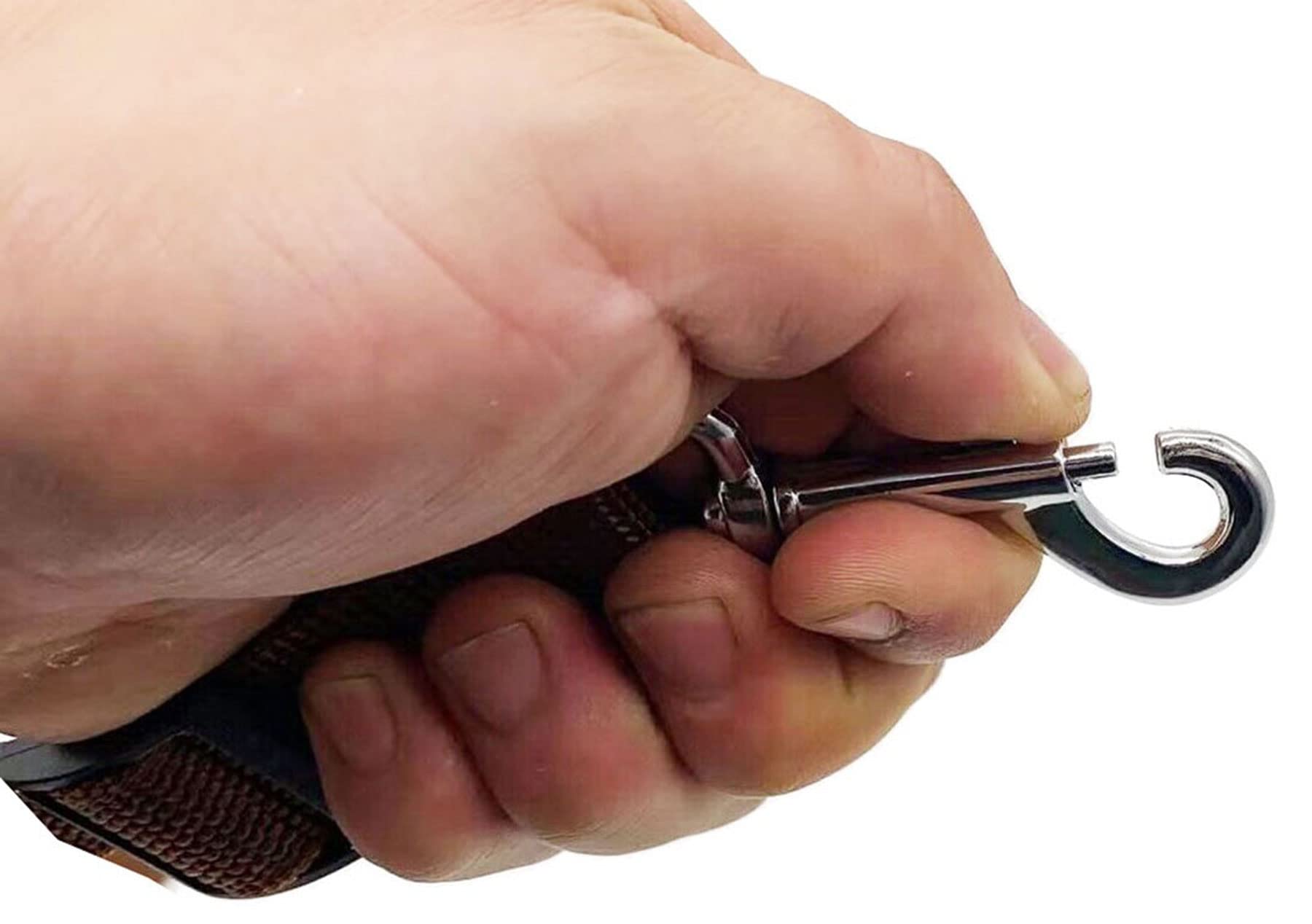 6Ft/ 10Ft Adjustable Dog Leash, Nylon Dog Leashes For Medium Large Dogs (10Ft, Brown)