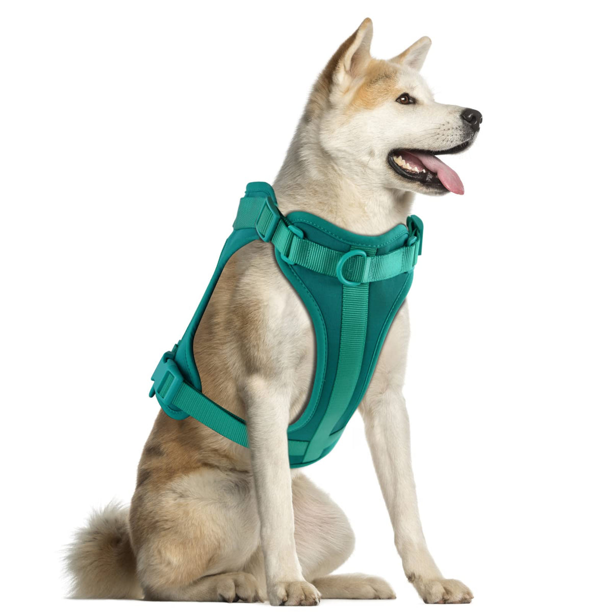 Wisedog No Pull Lightweight Dog Vest Harness With Soft And Comfortable Cushion, Breathable Mesh, For Small Medium Large Dogs Walking (L(Neck: 16.15'-20.86';Chest: 24.02'-38.19'), Emerald Green)