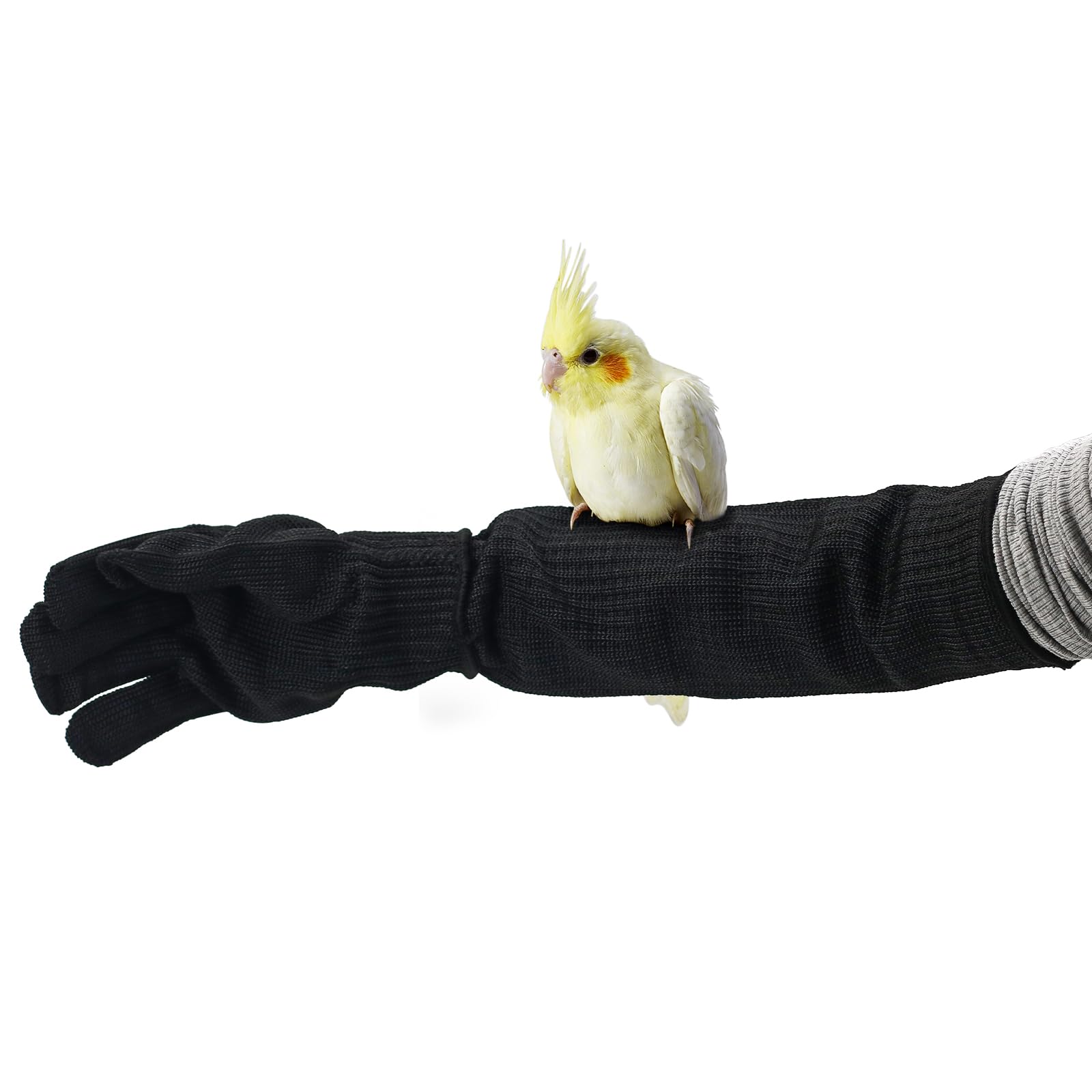 Bird Training Anti-Bite Gloves, Level 5 Protection, Parrot Chewing Working Safety Protective Gloves For Small Animal Pet Squirrels Hamster Parrotlets Cockatiels Finch Macaw (Gloves + Arm Sleeves)