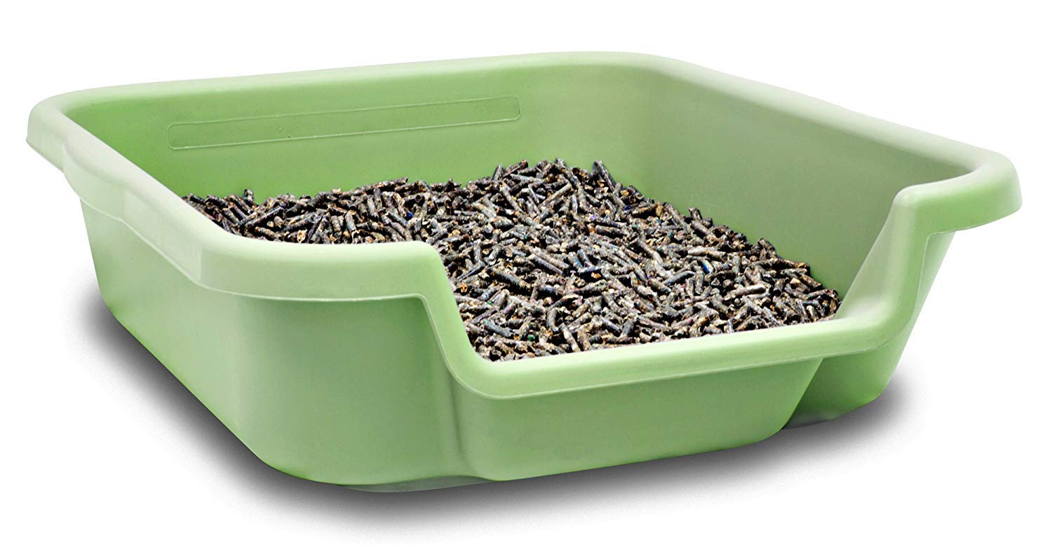 Puppygohere Dog Litter Box, Apple Green Color, Small Size, Durable & Pet Safe Puppy Litter Box, Indoor Open Top Entry Dog Litter Pan, Comfortable For Dogs, Great For Small Dogs Up To 6 Lbs