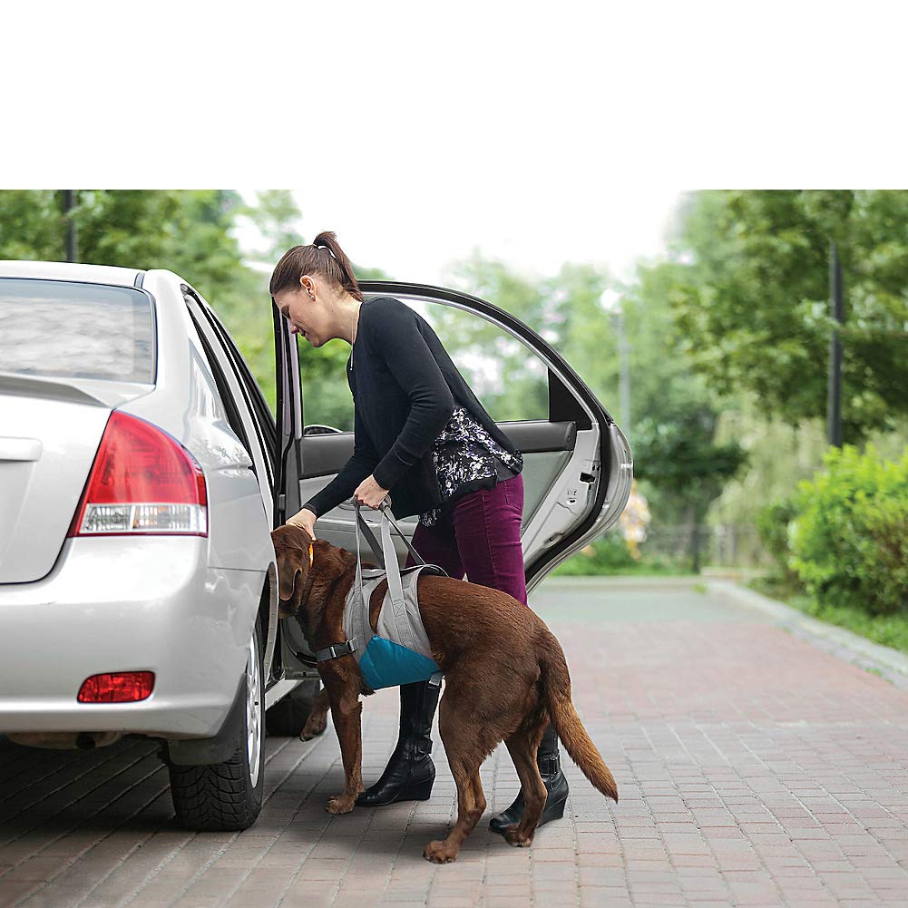 Kurgo Up And About Dog Lifter For Support – Pet Lift Harness Helps Elderly & Disabled Dogs