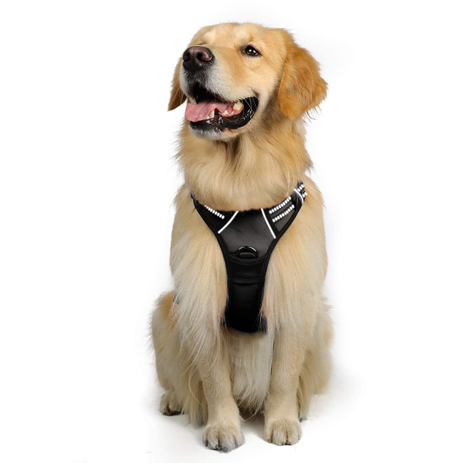 Rabbitgoo Dog Harness No Pull With 2 Leash Clips, Adjustable Soft Padded, Reflective Oxford No Choke Pet Vest With Easy Control Handle For Large Dogs, Black, Xl