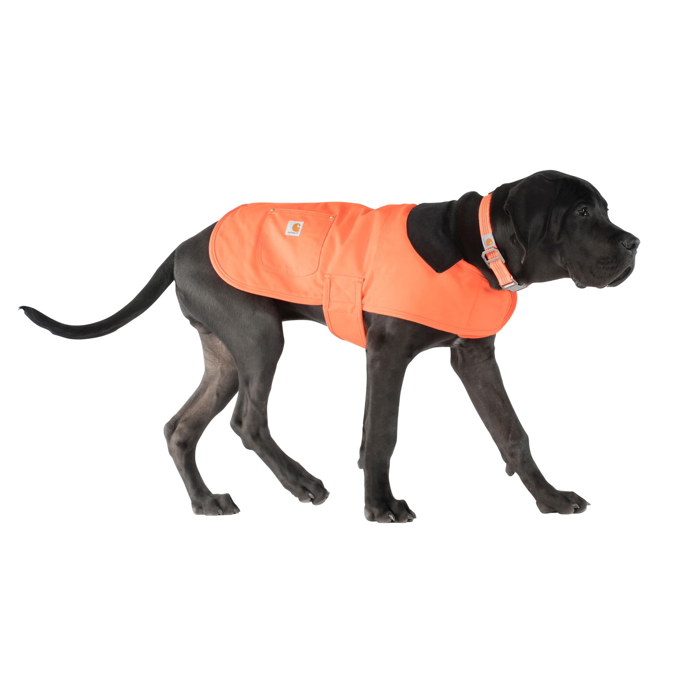 Carhartt Firm Duck Insulated Dog Chore Coat Hunter Orange/Brass
