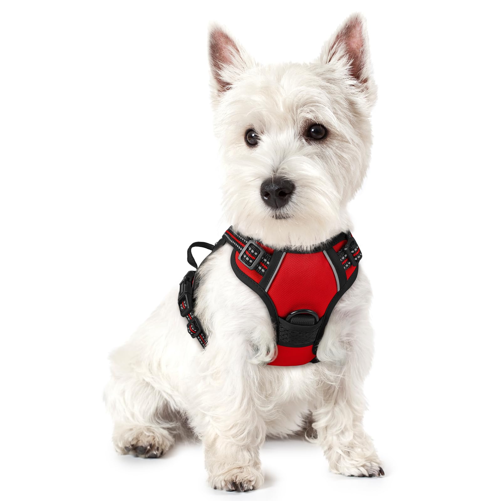 Rabbitgoo Dog Harness, No-Pull Pet Harness With 2 Leash Clips, Adjustable Soft Padded Dog Vest, Reflective No-Choke Pet Oxford Vest With Easy Control Handle For Small Dogs, Red,Xs
