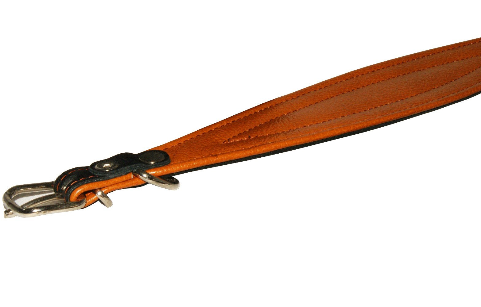 Real Leather Extra Wide Padded Tapered Dog Collar Glossy Black Greyhound Saluki Deerhound Lurcher Whippet Dachshund