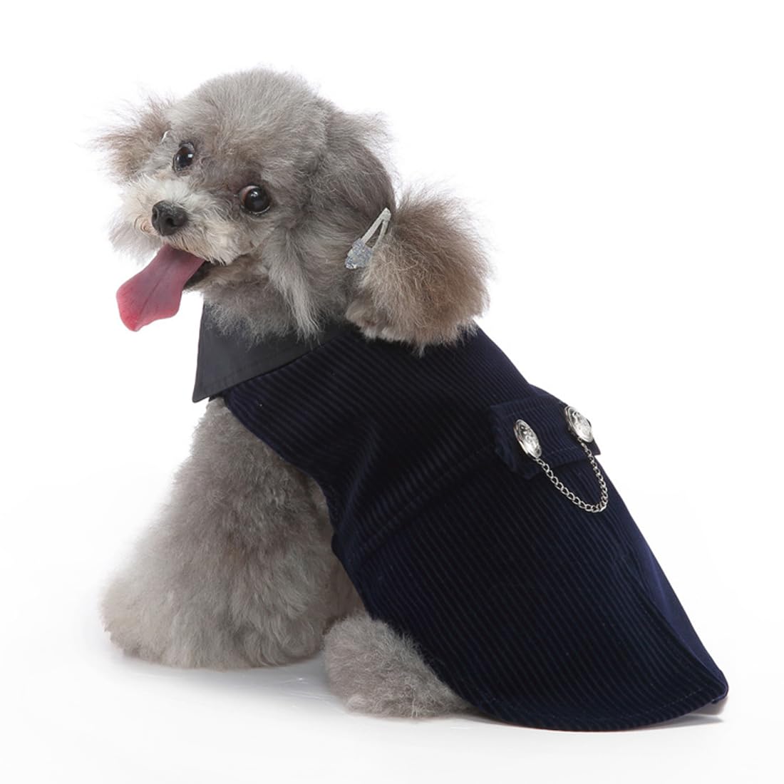 Doteyayp Puppy Velvet Tuxedo With Detachable Bowtie Prom Wedding Formal Wear Prince Costume For Small Dog (Small, Navy)