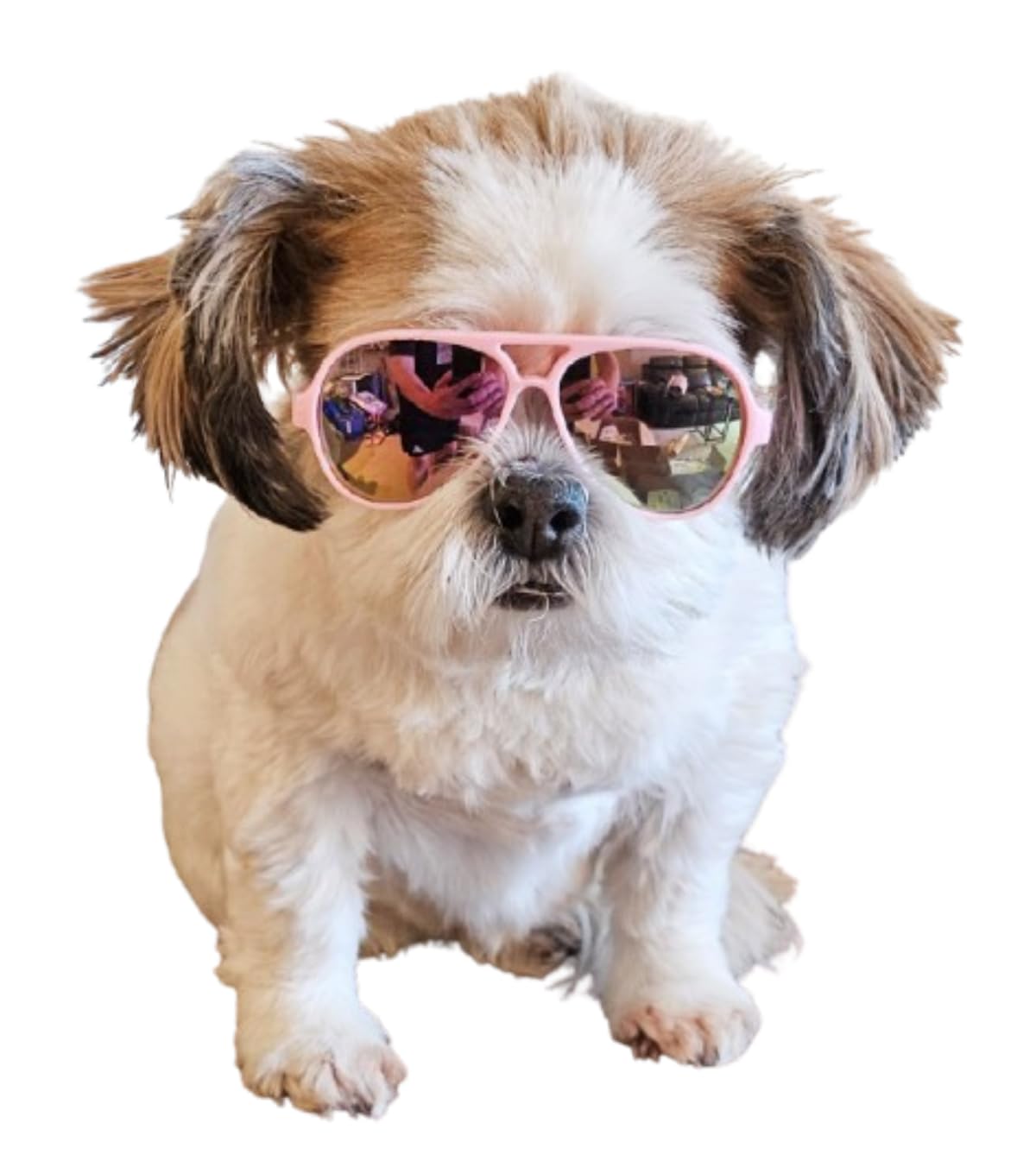 G029 Dog Cat Pet Aviator Sunglasses Glasses For Small Breeds Up To 15Lbs (Pink-Pink Mirror)