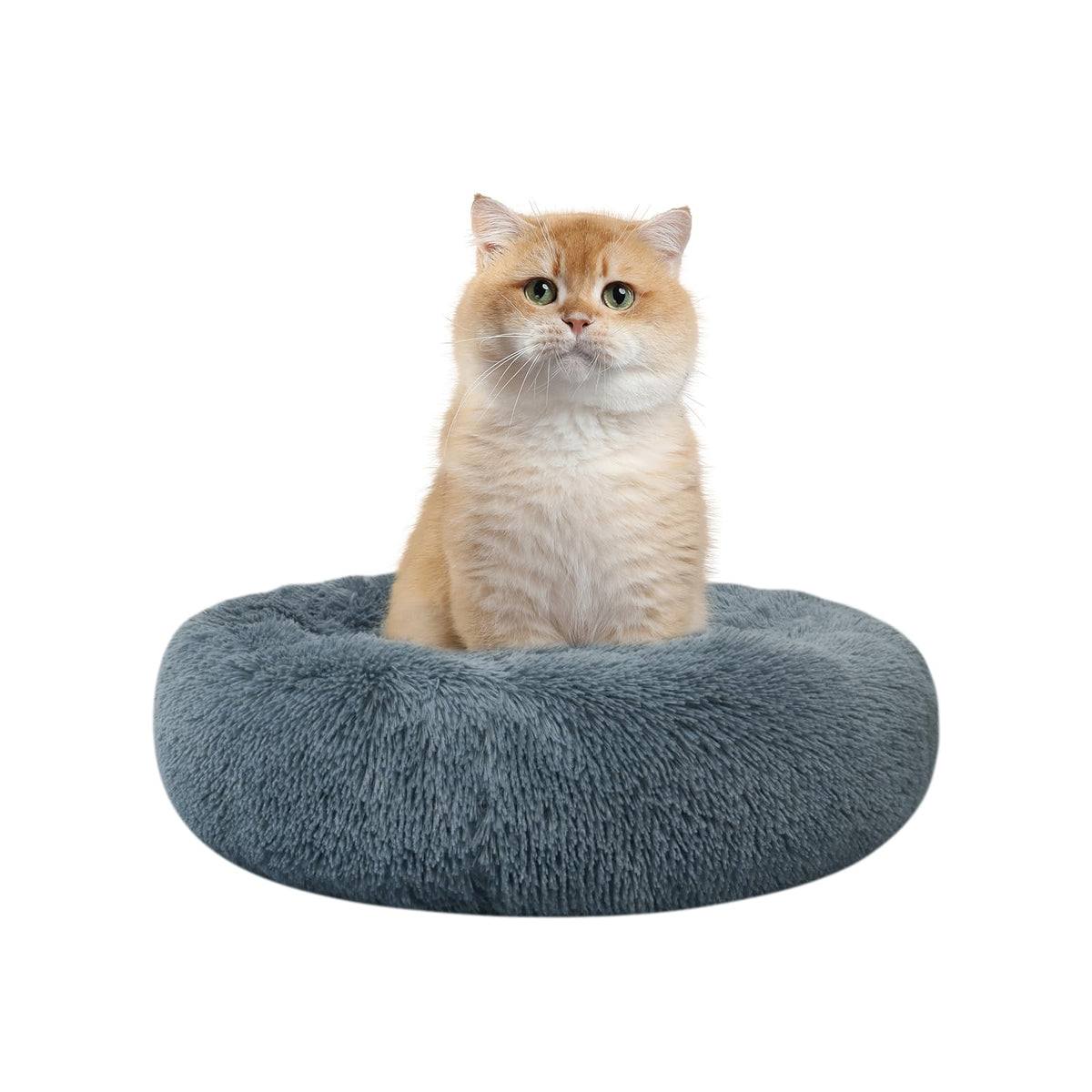 Nisrada Cat Beds For Indoor Cats,15.7 Inch Dog Bed For Small Melium Large Dogs, Washable-Round Pet Bed For Puppy And Kitten With