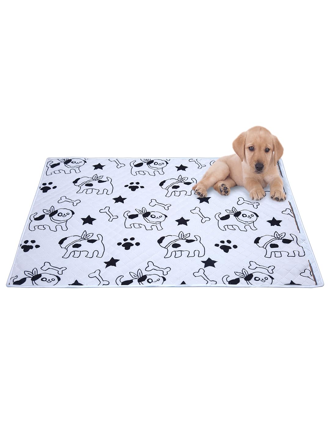 Aazeem Soft Light Weight Mat For Dogs,Cats & Pets, (SizeM)
